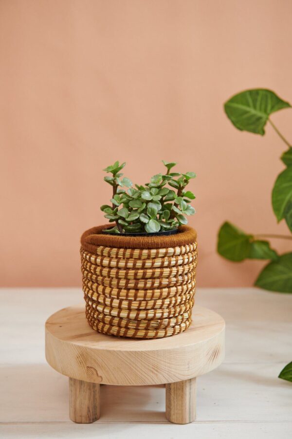 Panier à Plantes Tissé à la Main en Palmier et Laine (Lot de 3) – Image 6
