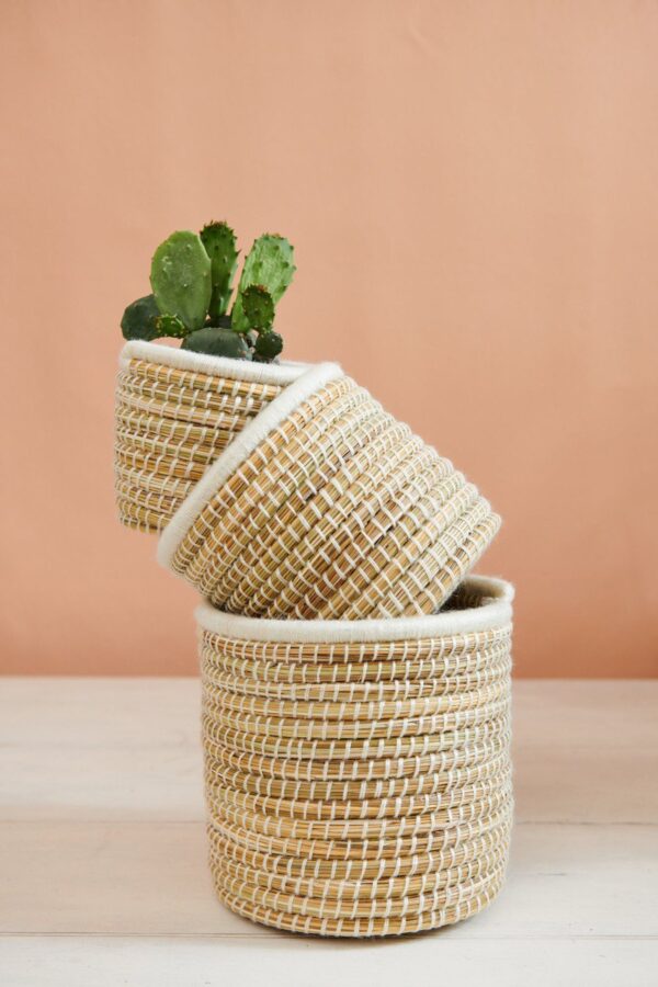 Panier à Plantes Tissé à la Main en Palmier et Laine (Lot de 3)