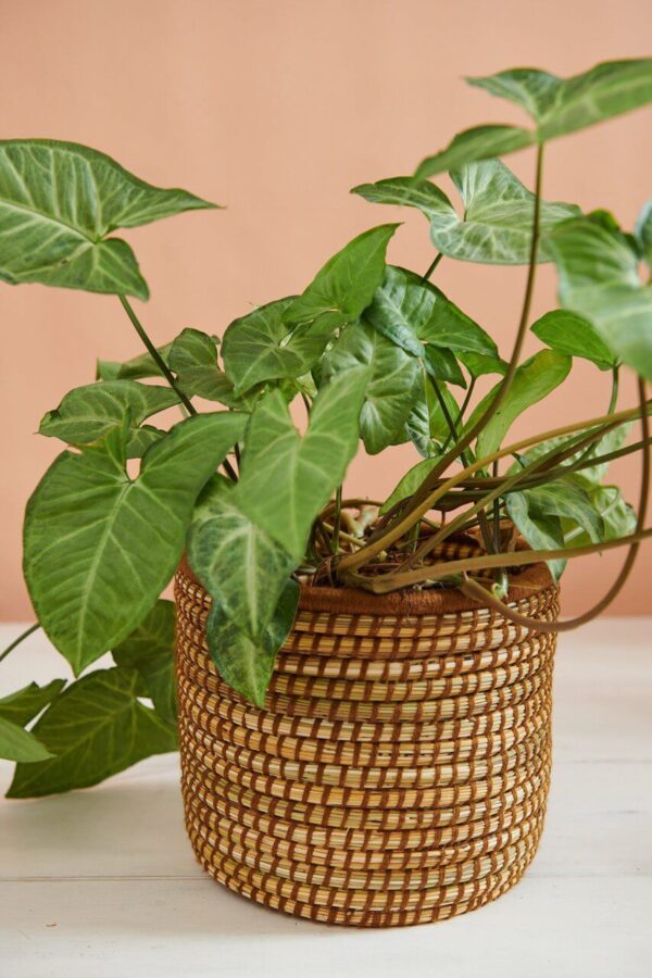 Panier à Plantes Tissé à la Main en Palmier et Laine (Lot de 3) – Image 5