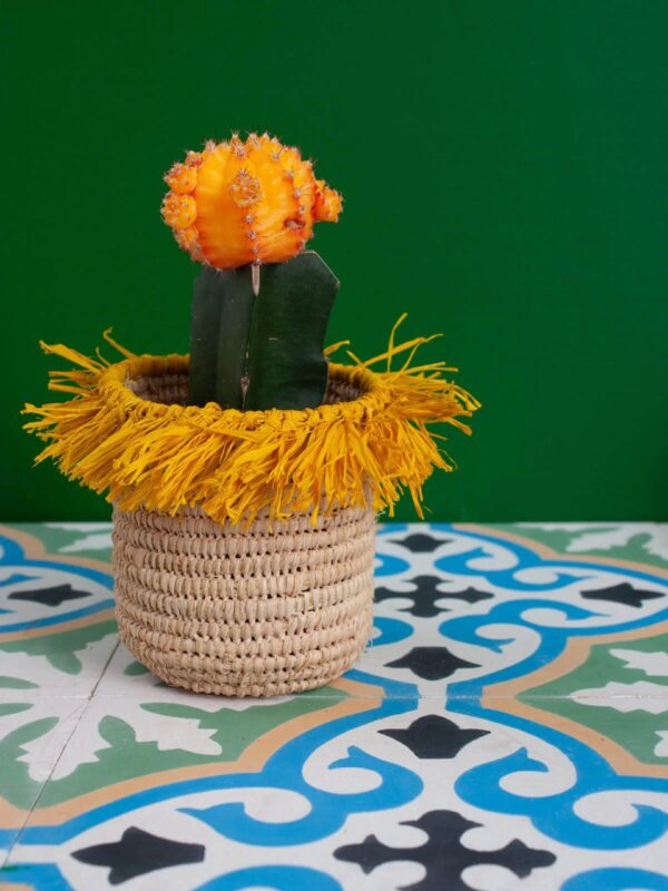 Pots de Rangement en Raphia Faits Main avec Pompons – Image 7