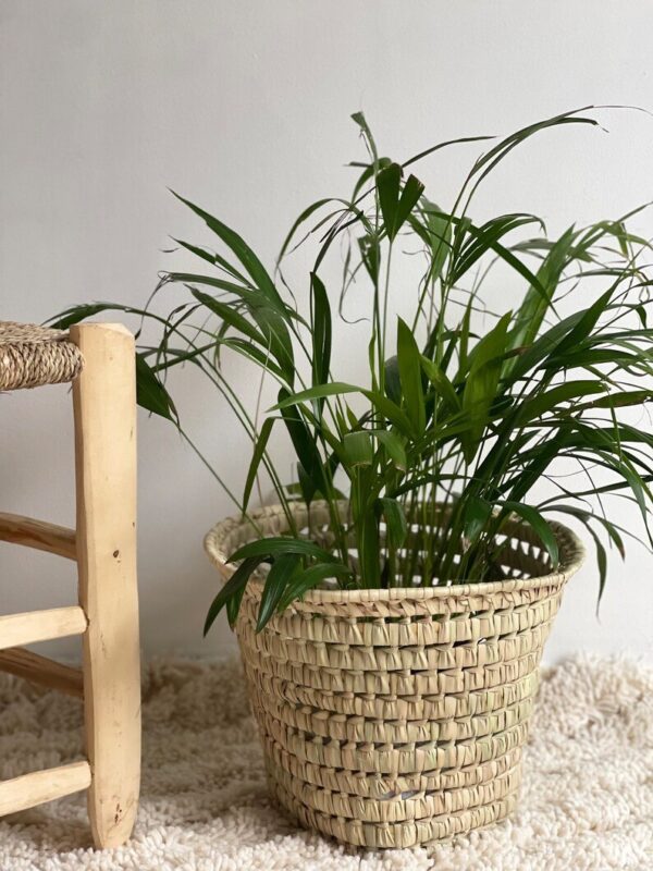 Cache-pot en feuilles de palmier – Vase naturel – Image 2